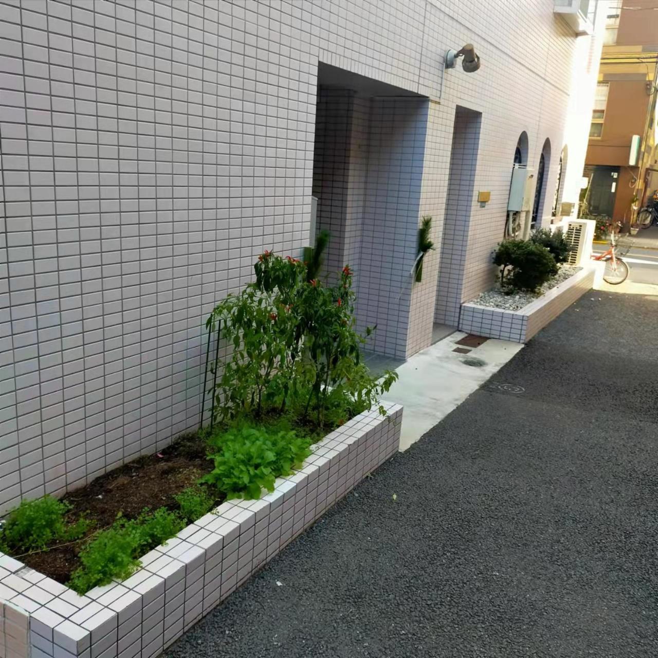 Shiki No Sai Asakusa Präfektur Tokio Exterior foto